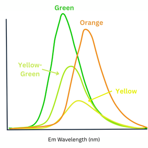 FTIR spectrum showing the different colours making up a click beatle fluorescence.